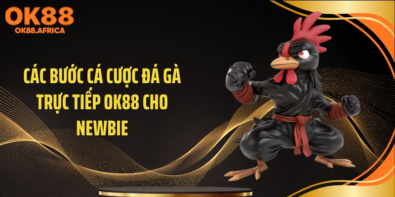 Các bước cá cược đá gà trực tiếp OK88 cho newbie