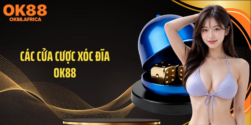 Các cửa cược xóc đĩa OK88