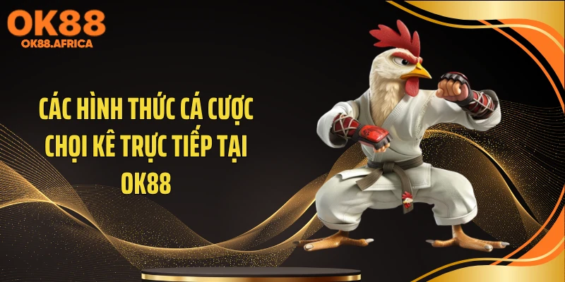 Các hình thức cá cược chọi kê trực tiếp tại OK88