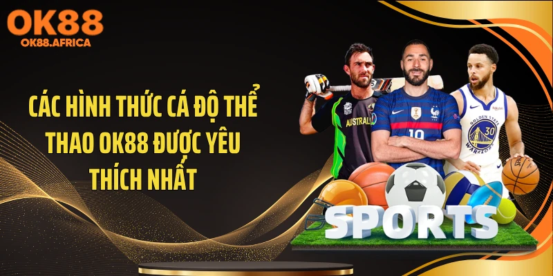Các hình thức cá độ thể thao OK88 được yêu thích nhất