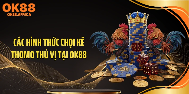 Các hình thức chọi kê Thomo thú vị tại OK88