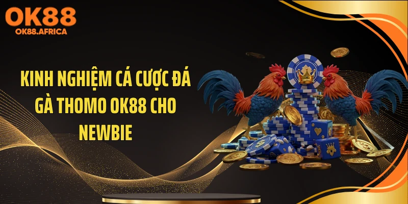 Kinh nghiệm cá cược đá gà Thomo OK88 cho newbie