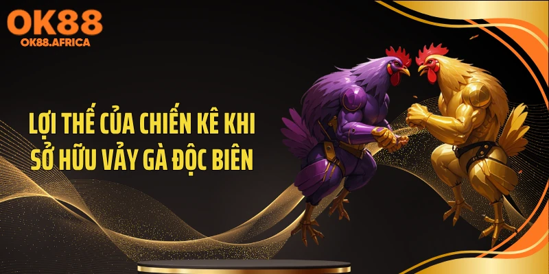 Lợi thế của chiến kê khi sở hữu vảy gà độc biên