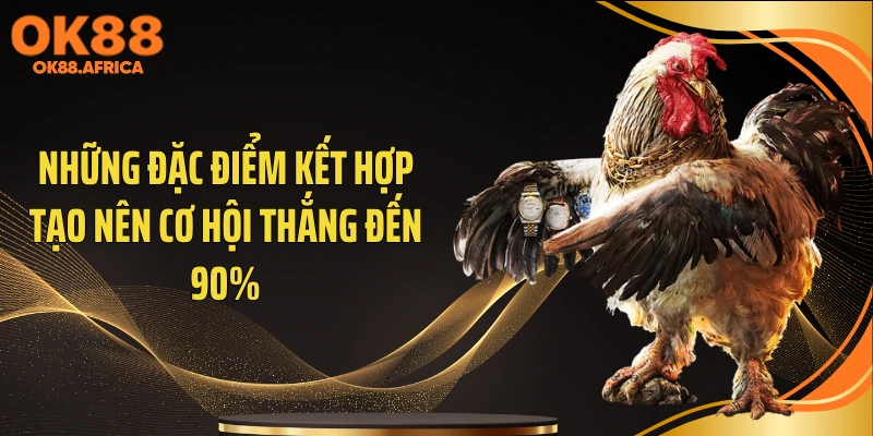 Những đặc điểm kết hợp tạo nên cơ hội thắng đến 90%