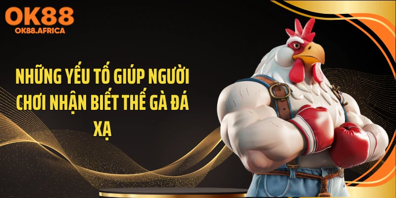 Những yếu tố giúp người chơi nhận biết thế gà đá xạ