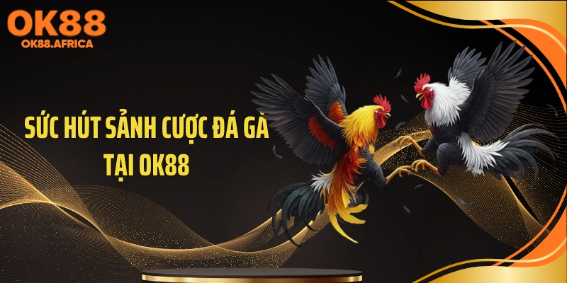 Sức hút sảnh cược đá gà tại OK88