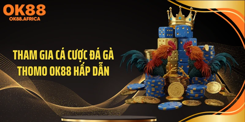 Tham gia cá cược đá gà Thomo OK88 hấp dẫn