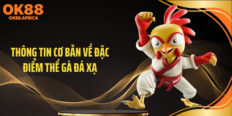 Thông tin cơ bản về đặc điểm thế gà đá xạ