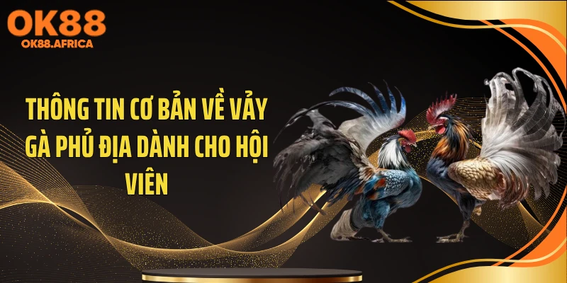 Thông tin cơ bản về vảy gà phủ địa dành cho hội viên