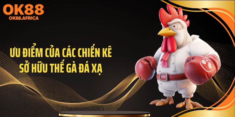 Ưu điểm của các chiến kê sở hữu thế gà đá xạ