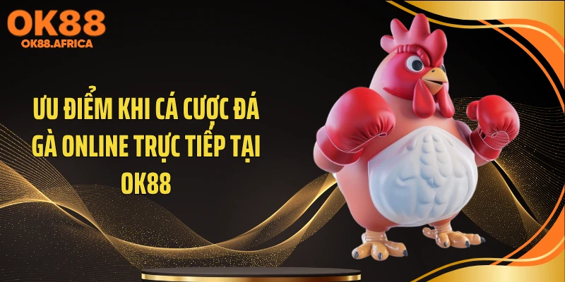 Ưu điểm khi cá cược đá gà online trực tiếp tại OK88