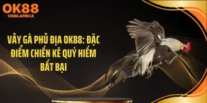 Vảy Gà Phủ Địa OK88: Đặc Điểm Chiến Kê Quý Hiếm Bất Bại